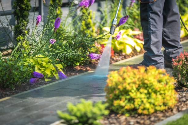 Reliable New Albany, MS Pressure Washing Services Solutions